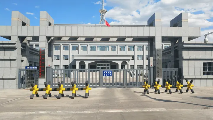 Public security gate